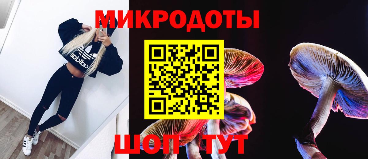 Псилоцибиновые грибы Magic Shrooms Борзя